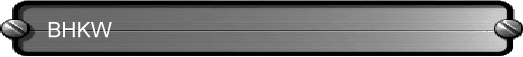 BHKW
